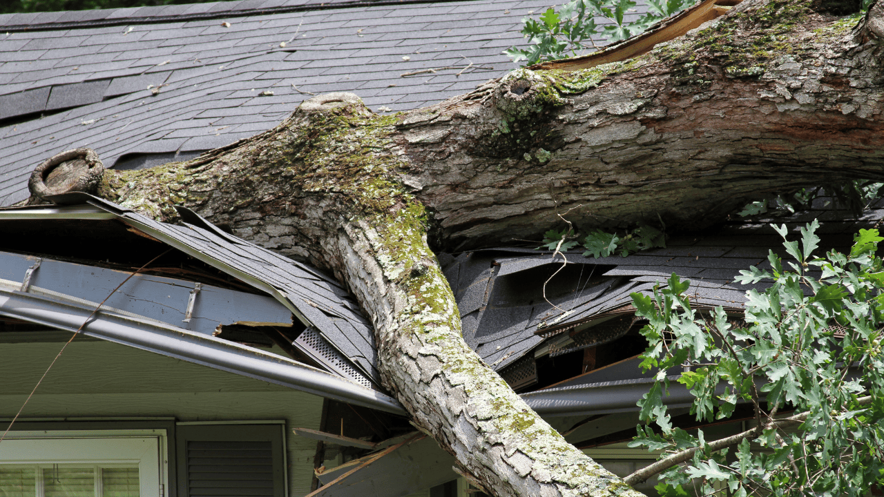 flood damage mitigation in San Diego